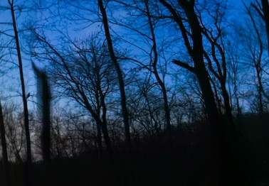 Sheltowee Trace Moonrise